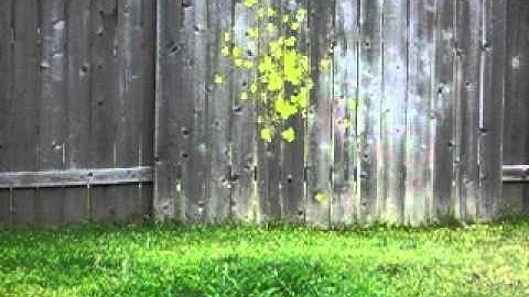 09 Proto Slg shooting