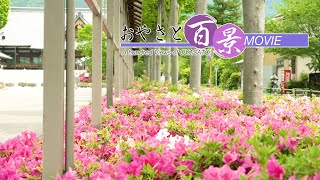 第68回「初夏」