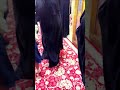 قال الامام علي عليه السلام لاترد علئ الناس كلما حدثوك فكفى بذالك حمقأ علوية علـي قال الامام علي عليه السلام لاترد علئ الناس كلما حدثوك فكفى بذالك حمقأ علوية علـي