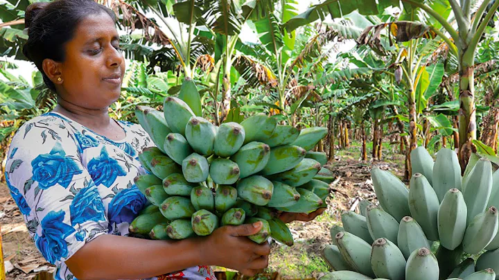 Special dishes made by rural women from Ash planta...