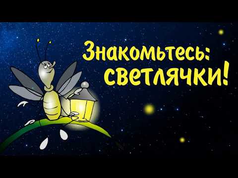 Слайд-шоу «Знакомьтесь: светлячки!» на онлайн празднике «Макушка лета»