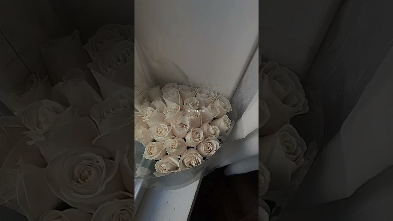 white roses