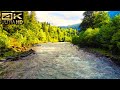 Relaxing Music Along With Beautiful Nature Videos - Relaxing Piano Music 4K For Stress Relief