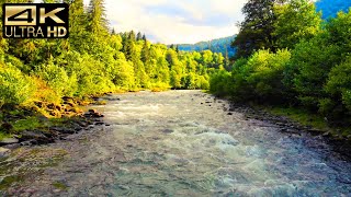 Relaxing Music Along With Beautiful Nature Videos - Relaxing Piano Music 4K For Stress Relief