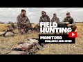 Field hunting mallards and geese canada waterfowl hunting