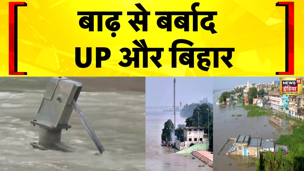 UP Flood News: Moradabad में रामगंगा नदी उफान पर | Flood News Today | Bihar Flood | Hindi News