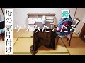 #16「ゴミ屋敷だったんだぜ ここ」 棚とコタツを置くまでにガチ親子喧嘩しとります。