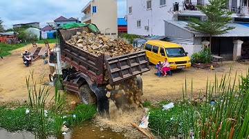 perfectly landfill clear flooded start up new project ! team truck unload, bulldozer d20p push stone