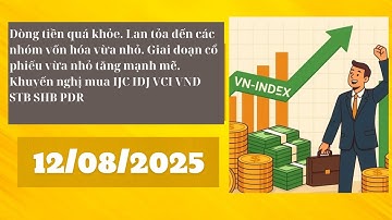 Dòng tiền lan tỏa nhóm cổ phiếu midcap penny. Cổ phiếu chú ý SHB STB VND VCI IDJ IJC AGG.