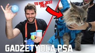 PROSTE GADŻETY DLA TWOJEGO PSA🐶👌🏻