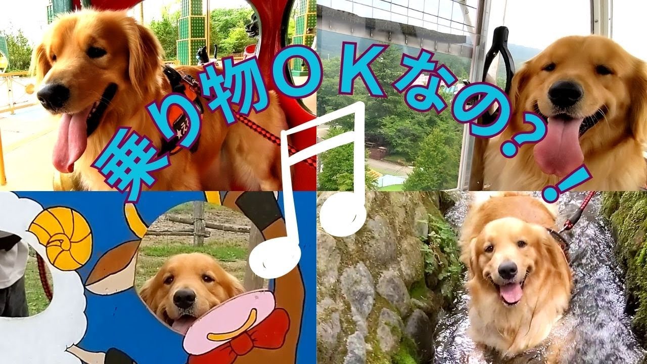 【エンゼルフォレスト那須】【那須ハイランドパーク】【南ヶ丘牧場】初めて愛犬と遊園地へ行ってみた！！♪　（後編）ゴールデンレトリバーエルちゃん