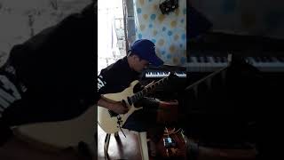 Boss Guitar Pedal Effects Chorus Ensemble Ce-5 And Distortion D-1 Combined