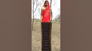 आसमान से गिरी नागमणि 💎🐍🙏||nagmani ki chori||#shorts #ytshorts #nagin #snake #vfx #vfxindia #viral