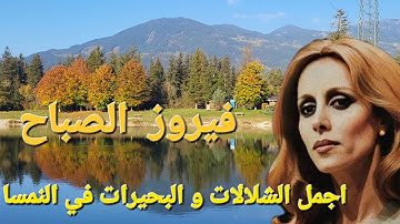 فيروز الصباح 