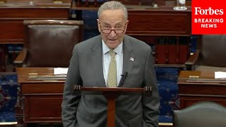 JUST IN: Schumer Details Continuing Resolution To Keep Government Open