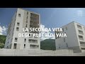 Una filiera solidale per il legno | RSI Info