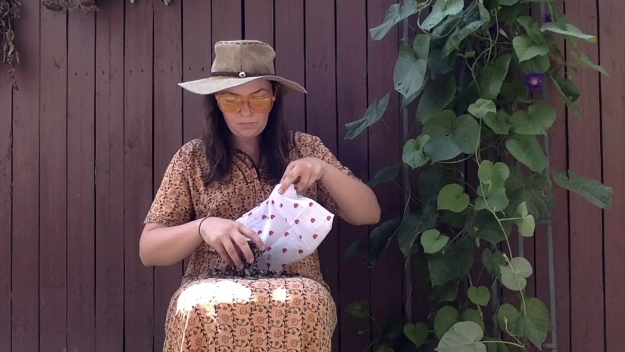 mugwort dream pillow