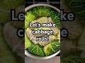 Gingery Cabbage Rolls With Pork and Rice. Full recipe in the description! #recipe #shorts