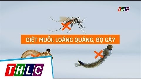 Chuyên mục: Sức khỏe cộng đồng (tháng 9/2017) | THLC
