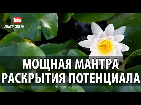 МОЩНАЯ МАНТРА ИНТУИЦИИ И РАСКРЫТИЯ ТВОРЧЕСКОГО ПОТЕНЦИАЛА #МАНТРА #ПАТАНДЖАЛИ #MANTRA #PATANJALI