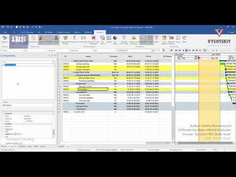 [Synchro PRO Basic] Codes, Companies, Roles and Users