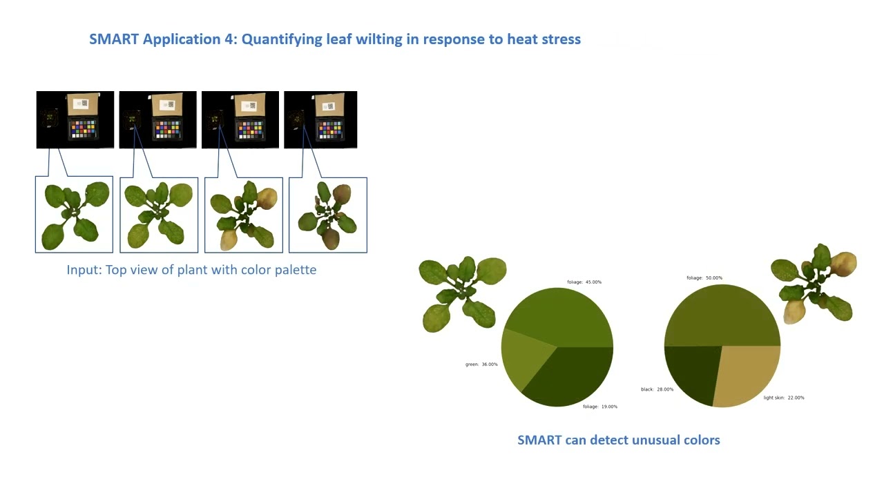 SMART: Plant phenotyping using Computer Vision and Machine Learning