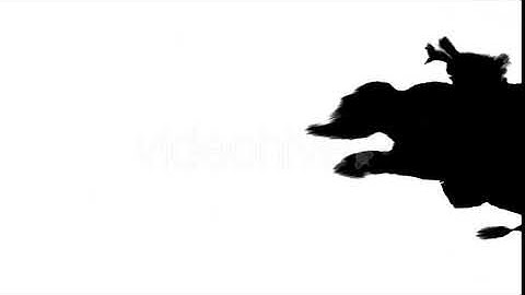 Inks Flow From Right To Left on Wet Paper 07 | Motion Graphics - Envato elements