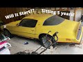 1977 Pontiac Formula Rescue! First Start In 5 Years & Found Original Factory Build Sheet!!