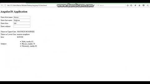 angular filter application