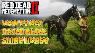 Red Dead Redemption 2 Raven Black Shire Horse Guide | How To Get The Rarest Horse In The Game