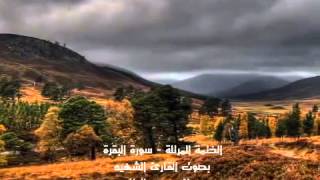 Sheikh Mustafa Raad Al-Azzawi- God's mercy -  (( Sourate Al-Baqarah ))