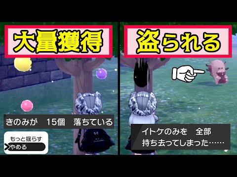 ソードシールド リュガのみの入手方法と効果まとめ ポケモン剣盾 攻略大百科