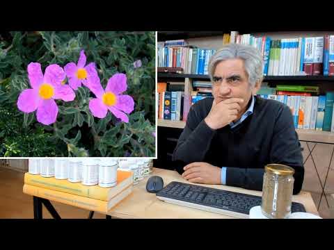 Herbalist İbrahim Gökçek