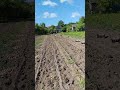 Агроном нагрянул с проверкой #сельскоехозяйство# аист