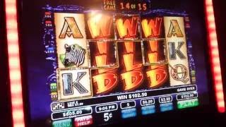 Wild Life《JACKPOT Handpay》Part 1 with Lucky Finger