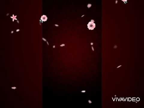 Umara Buy Uniform Shoes For School Tiktok Viral Bachaparty Babylove Babyworld Kids