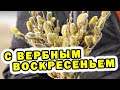 С Вербным воскресеньем! Вход Господень в Иерусалим – поздравление из деревни. Моё знакомство с женой