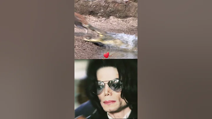 Shocked #viralvideo #shortvideo  #shorts  #edit  #michealjackson  #funny  #dance  #animals #viral