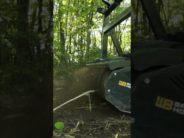 This Skid Steer Brush Cutter SHREDS Everything 🌲 | Werk-Brau BrushHound in Action