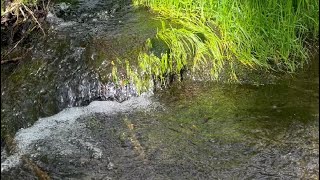 Relaxing River Waterfall Audio/Visual