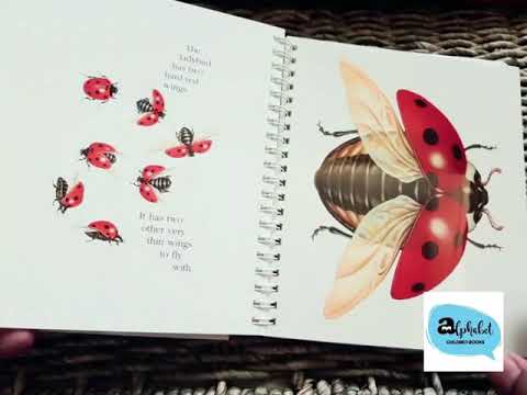 My First Discoveries 英語絵本 My First Discoveries 英語絵本