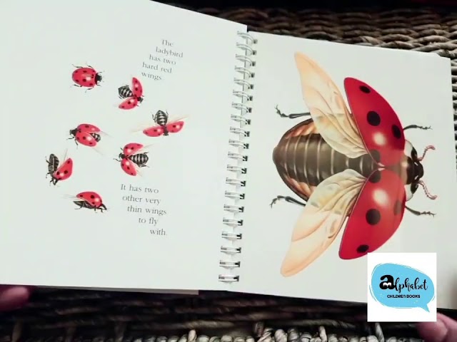 the Ladybird: my first discoveries - YouTube