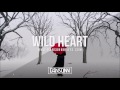 Wild heart with hook  deep inspiring piano guitar beat  prod by dansonn