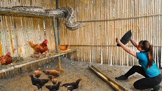 Famous GIRL Escapes Giant Python Attack - Giant Python has invaded the Farm - Are the Animals in Danger ? Profile