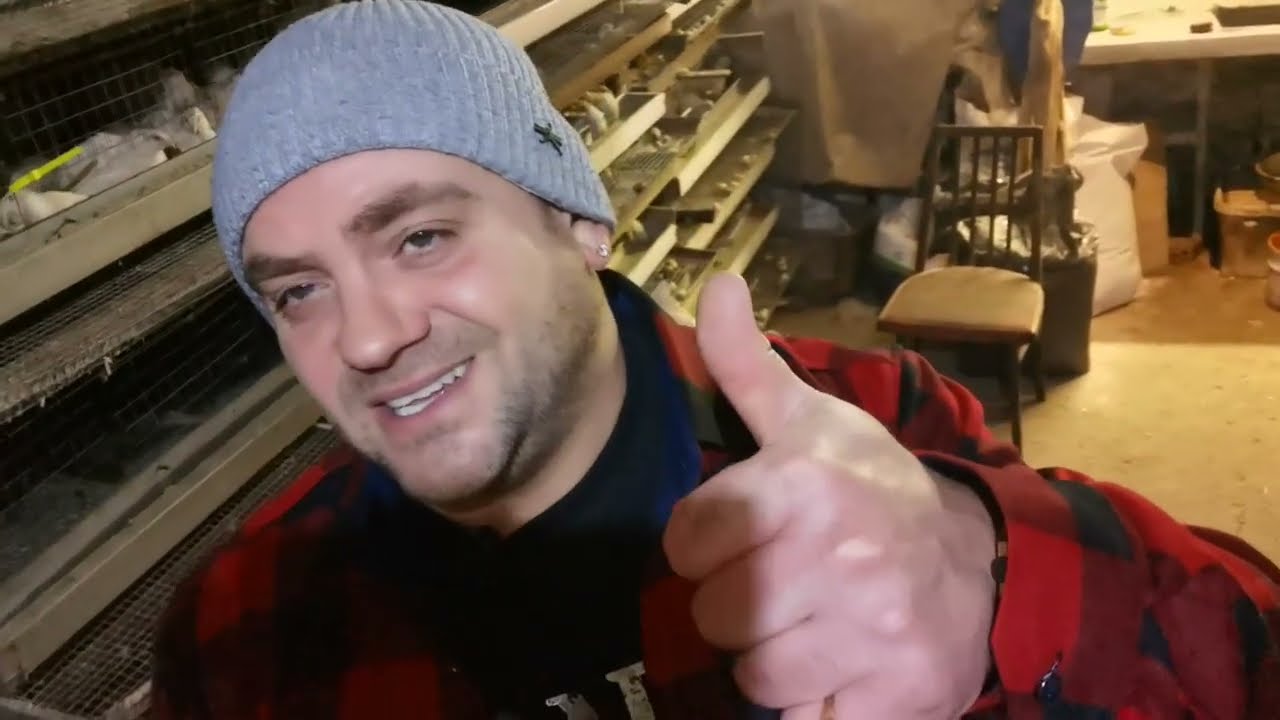 900 перепелов улетели!🤦‍♀️Цены на все растут,  и я  Поднимаю цены на все! А как у вас продажи?