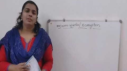 standard 4 evs unit 1 fields and forests വയലും വനവും ecosystem ആവാസവ്യവസ്ഥ