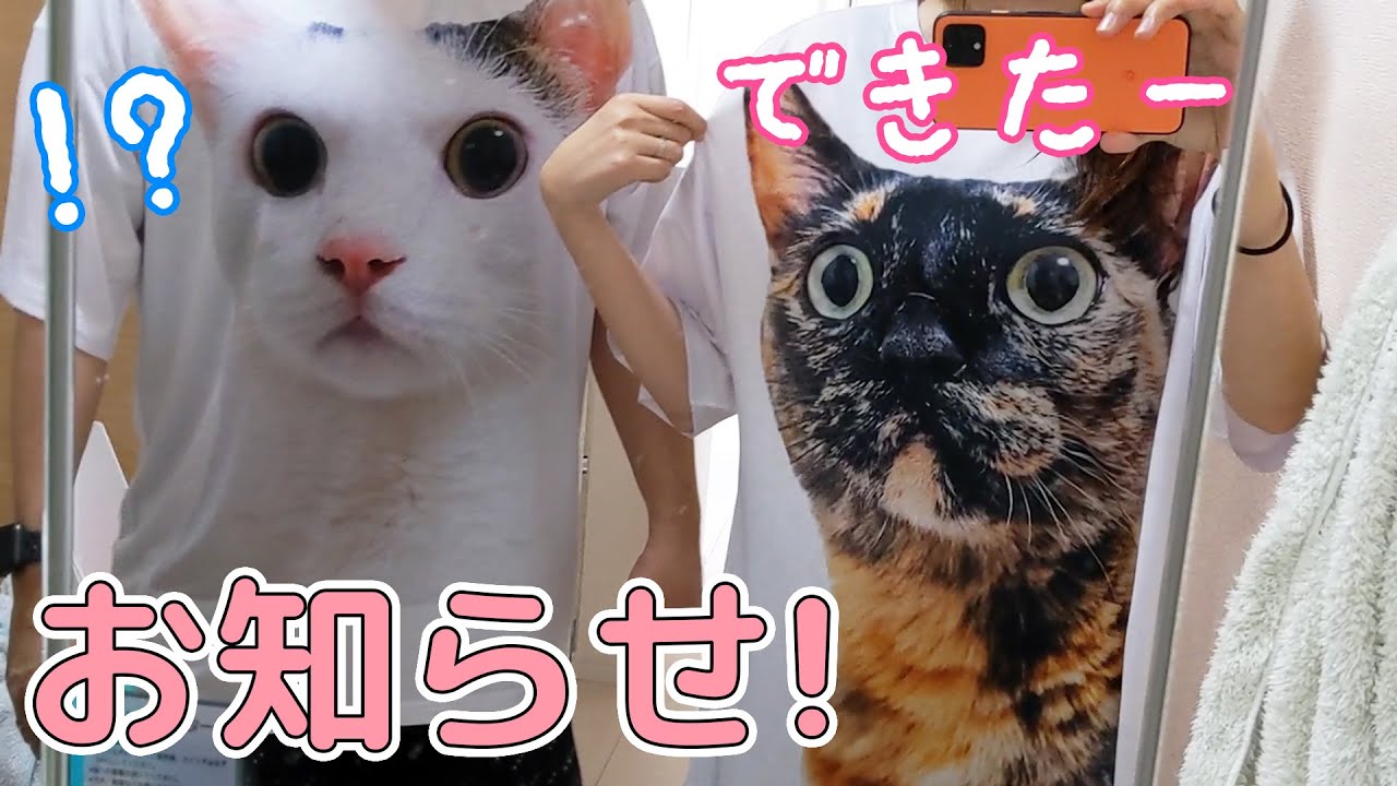 The third series of Nekohou goods with a very strong impact is now