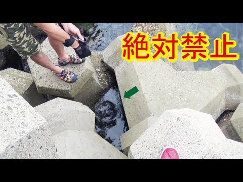 脚立で降りた穴からとんでもないサイズの生物が(374話目)