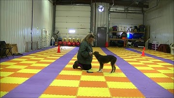 Clicked Retrieve Session 2