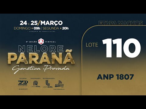 LOTE   110 ANP 1807